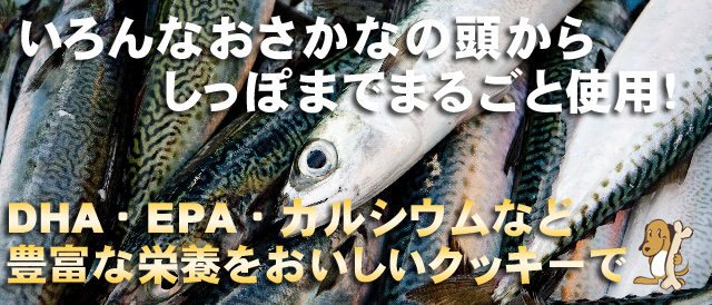 いろんなおさかなの栄養をまるごと　犬おやつ・猫おやつ