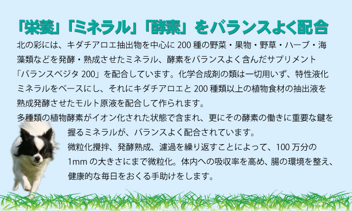 国産無添加　完全手作り　北の彩　ドッグフード　キャットフード