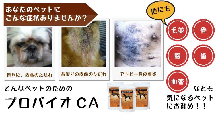 新品未使用品　　◉  プロバイオCA プラス