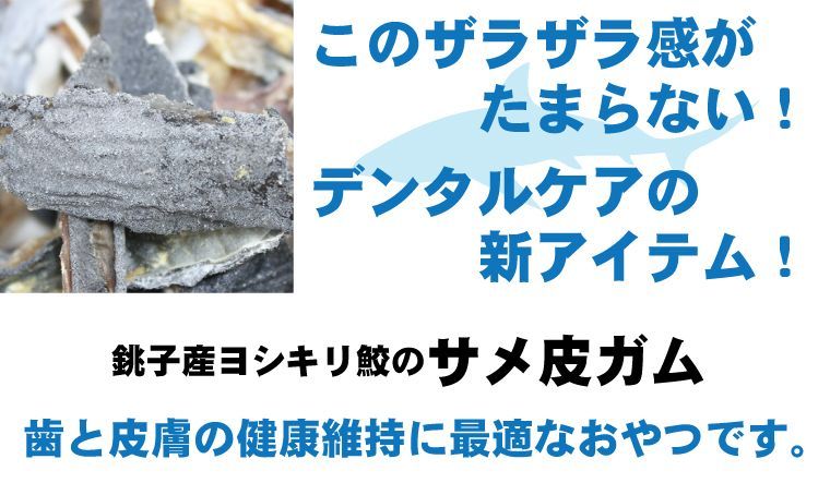 国産無添加犬用おやつ・猫用おやつ　サメ皮ガム　魚おやつ