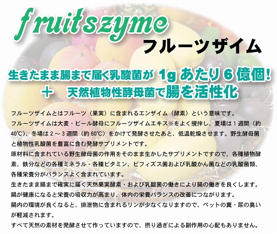 国産無添加 生きたまま腸まで届く乳酸菌配合 フルーツザイム 犬サプリ 猫サプリ 工場直売 無添加安心犬おやつ ドクター わん