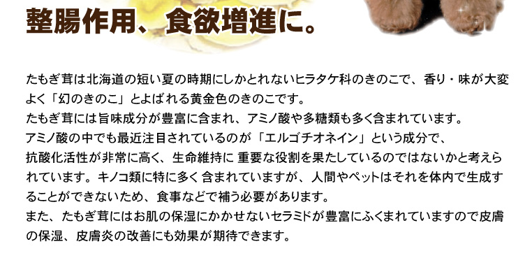 β-Dグルカンたっぷり。たもぎ茸パウダー　犬サプリ・猫サプリ