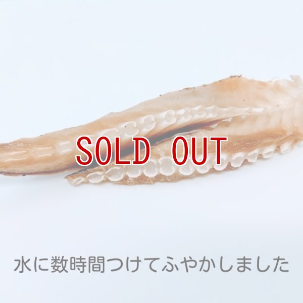 画像6: ヨシキリ鮫尾ひれ　犬おやつ・猫おやつ (6)