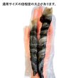 画像2: ≪訳あり品≫※サイズ規格外※白身魚のスキンロールガム(パンガシウス)　200g (2)