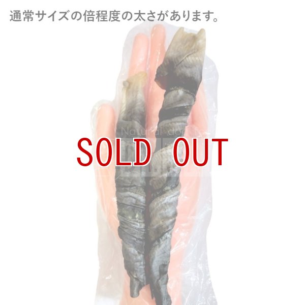 画像2: ≪訳あり品≫※サイズ規格外※白身魚のスキンロールガム(パンガシウス)　200g (2)