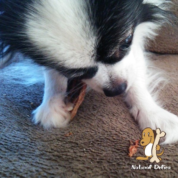 画像3: 【国産無添加】銚子産天然生本マグロのジャーキー (3)