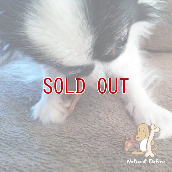 画像3: 【国産無添加】銚子産天然生本マグロのジャーキー (3)