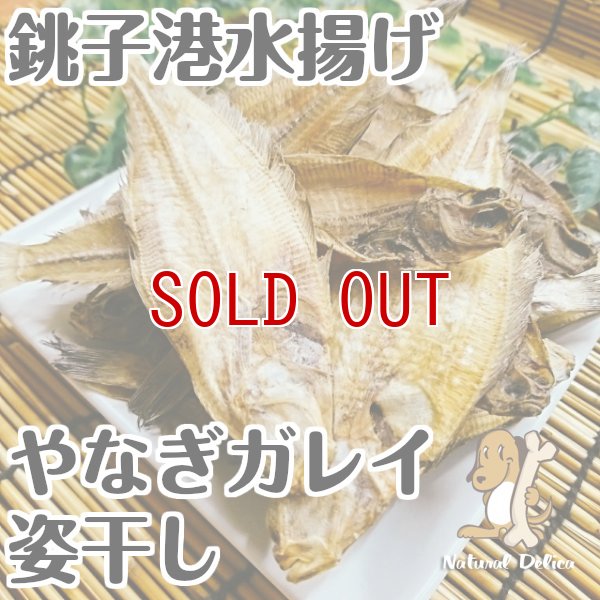 画像1: 【国産無添加】銚子産やなぎガレイ姿干し (1)