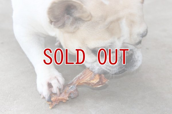 画像3: ※1注文2点まで※【国産無添加】 犬 おやつ 鮭 カマ (3)