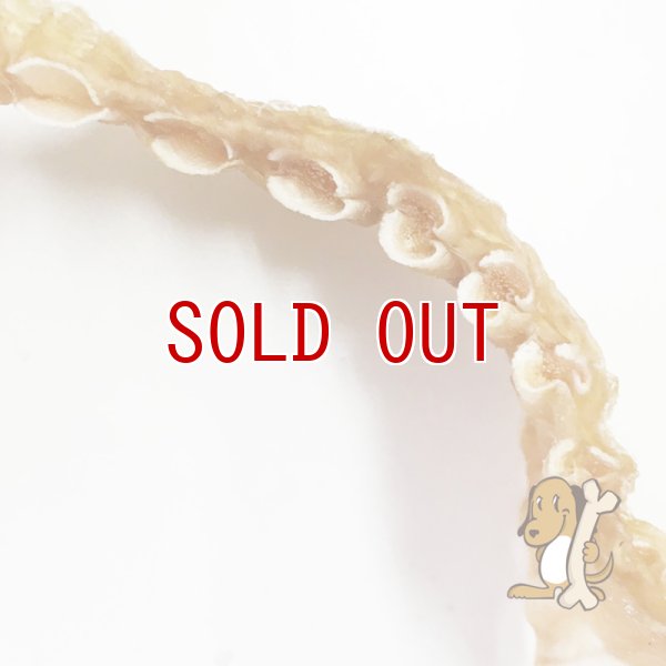 画像3: ヨシキリ鮫尾ひれ　犬おやつ・猫おやつ (3)