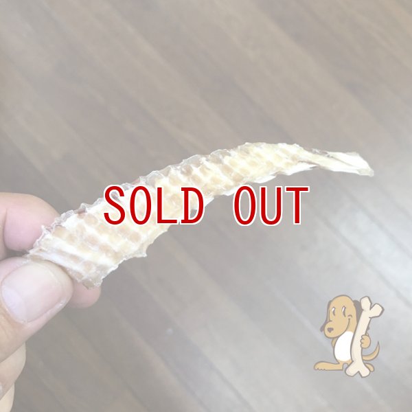 画像4: ヨシキリ鮫尾ひれ　犬おやつ・猫おやつ (4)